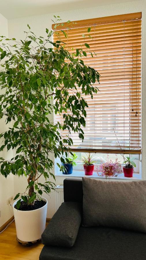 Grosses Und Helles Innenstadt Apartment - Ferienwohnung バート・ホンブルク エクステリア 写真